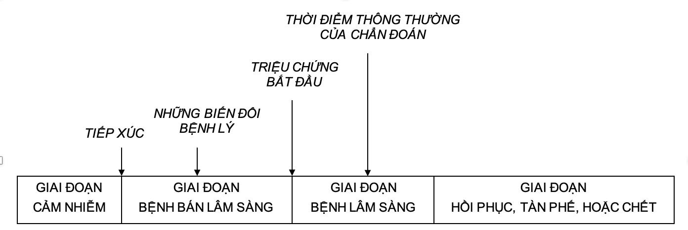 Những giai đoạn trong lịch sử tự nhiên của một bệnh .