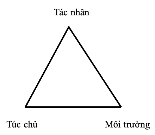 Sơ đồ của bộ ba, hay tam giác, dịch tễ học.