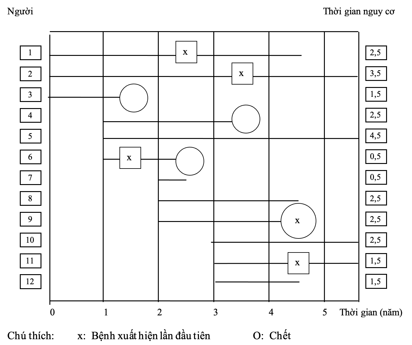 Sơ đồ theo dõi trong 5 năm của một đoàn hệ gồm 12 người từ đầu không có bệnh.